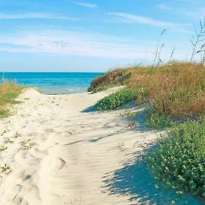 House On The Beach , Calambrone Italia